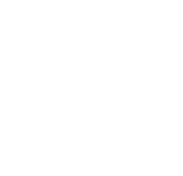 Retraining of Racehorses