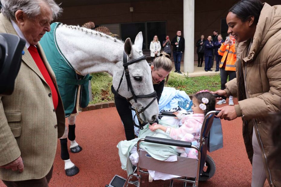 A child meeting a Grand National winning horse at Aintree Racecourse